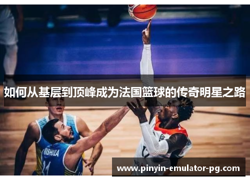 如何从基层到顶峰成为法国篮球的传奇明星之路