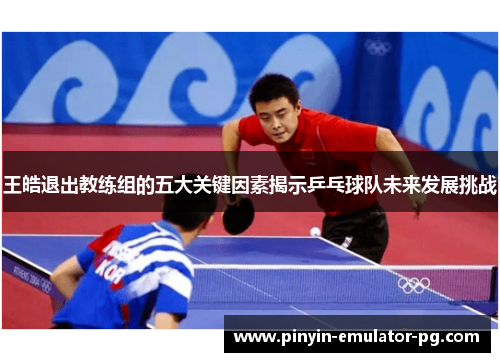 王皓退出教练组的五大关键因素揭示乒乓球队未来发展挑战